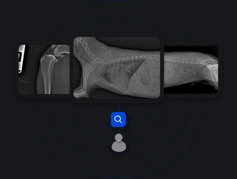 A radiologist reviewing submitted X-ray images