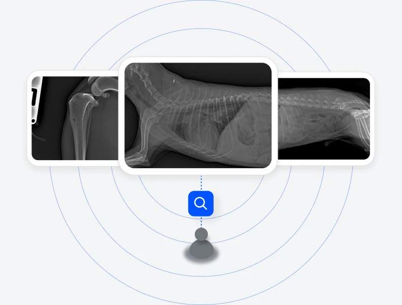 A radiologist reviewing submitted X-ray images